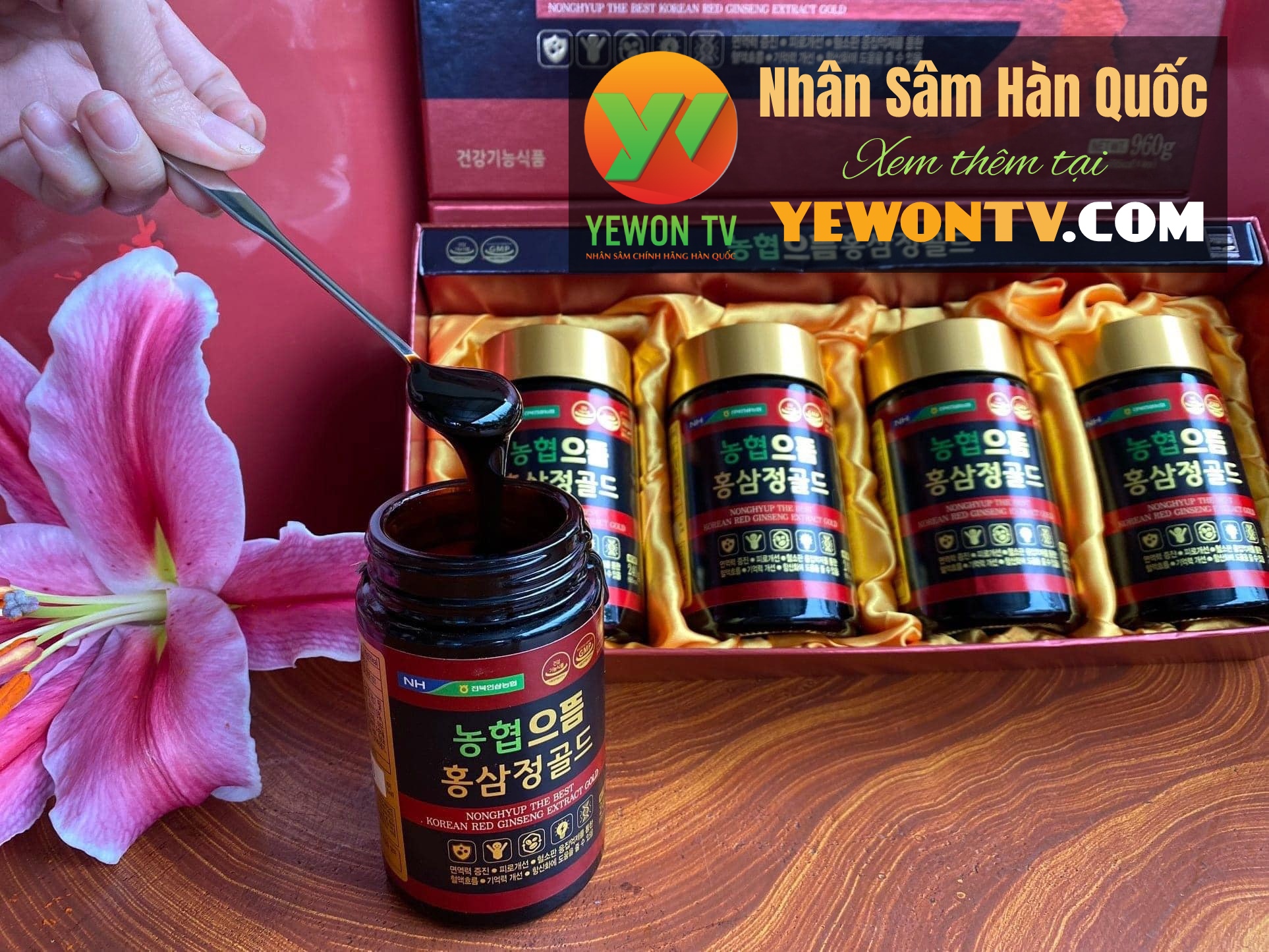 CAO HỒNG SÂM HÀNG NỘI ĐỊA HÀN QUỐC Ginseng Nonghyup 240g x 4 Chai - Hình ảnh 4