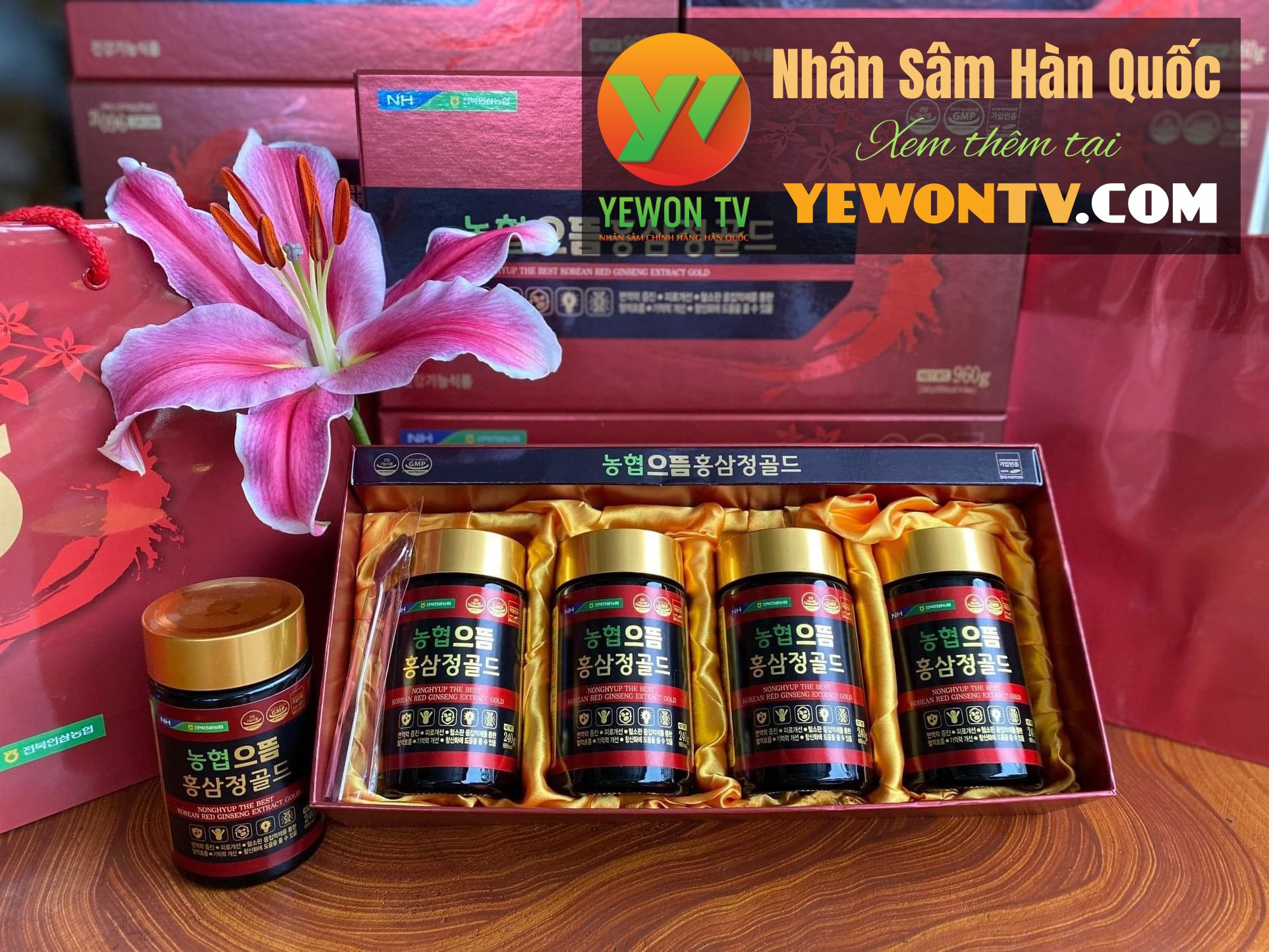 CAO HỒNG SÂM HÀNG NỘI ĐỊA HÀN QUỐC Ginseng Nonghyup 240g x 4 Chai - Hình ảnh 3